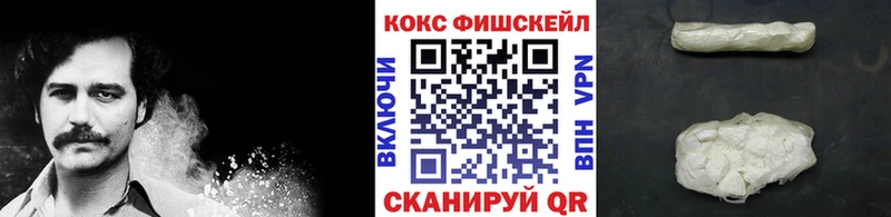наркота  Нелидово  Кокаин FishScale 