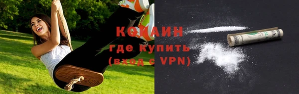 прущие грибы Протвино