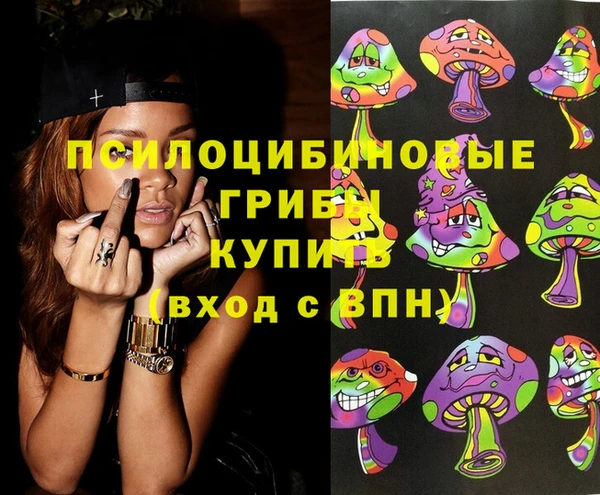 стафф Гусиноозёрск