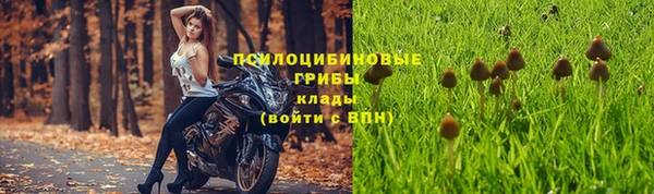стафф Гусиноозёрск