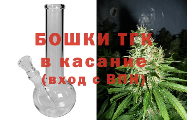 сатива Горняк