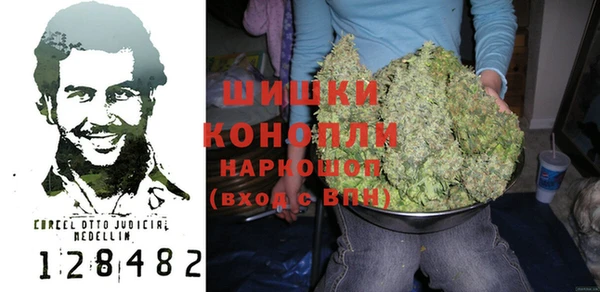 ПСИЛОЦИБИНОВЫЕ ГРИБЫ Сясьстрой