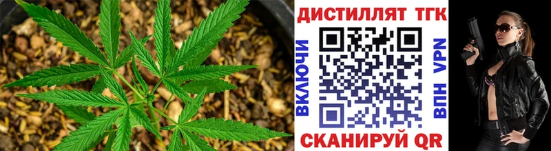 ТГК концентрат Нелидово