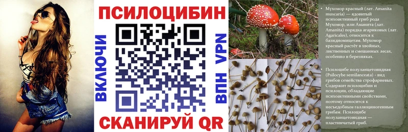 Галлюциногенные грибы мухоморы Нелидово